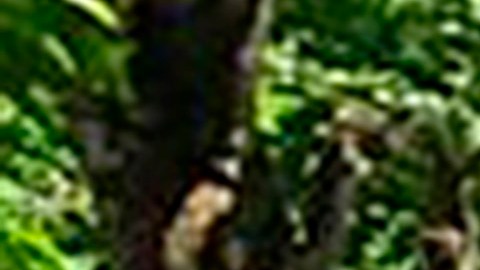 Las FARC de Colombia han realizado secuestros.