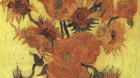 114852607_0e8e1408-7940-40da-a115-7dbe475434d1