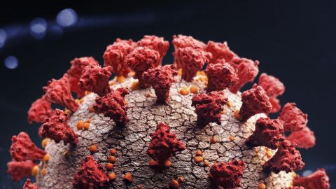 114872308_gettyimages-1212213050