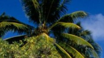 Las Islas Marshall han logrado hasta ahora mantener al virus lejos de sus orillas.