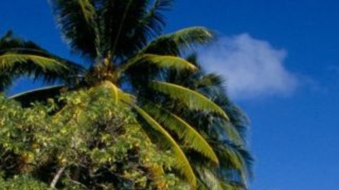 Las Islas Marshall han logrado hasta ahora mantener al virus lejos de sus orillas.