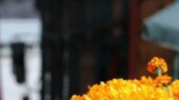 La flor de cempasúchil no puede faltar en las ofrendas y altares mexicanos en el Día de Muertos.