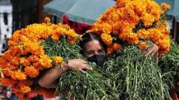 La flor de cempasúchil no puede faltar en las ofrendas y altares mexicanos en el Día de Muertos.