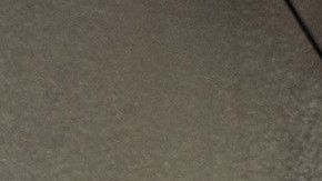 Elecciones en Florida