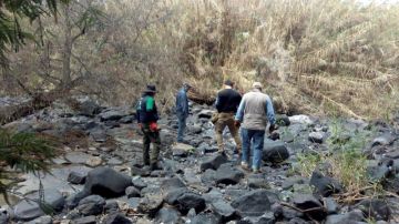 Los restos humanos se encontraron en varias fosas clandestinas en Salvatierra, Guanajuato.