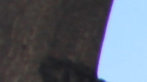 Aaron Friedman (izq.) con un grupo de jóvenes en el programa de verano. (Suministrada)