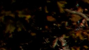 Decenas de miles de personas acudieron a la protesta.