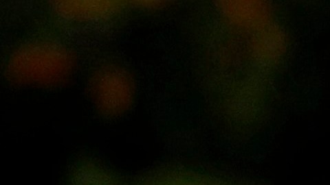 El presidente y la primera dama se quedaran en la Casa Blanca, pero no han dicho cuánto tiempo.