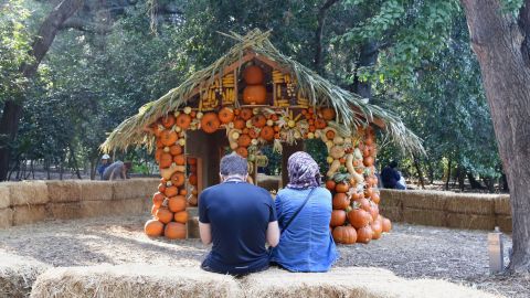 Foto: Descanso Gardens