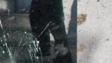 Members of the Mexican police inspect on November 5, 2008 the site where an aircraft carrying Interior Minister Juan Camilo Mouriño and Security advisor Jose Luis Santiago Vasconcelos crashed last night in Mexico City. The toll of people killed from the crash in which Mouriño and Vasconselos died, rose to 13, the city's prosecutor said Wednesday.  AFP PHOTO/Ronaldo SCHEMIDT (Photo credit should read Ronaldo Schemidt/AFP via Getty Images)