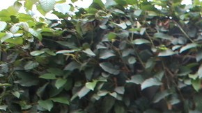 Margarita Zavala y Felipe Calderón.