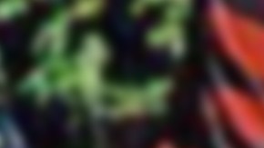 Belfast-dad-and-daughter-_63_-1