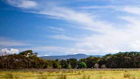 CR-Health-InlineHero-Chicken-Antibiotics-0417