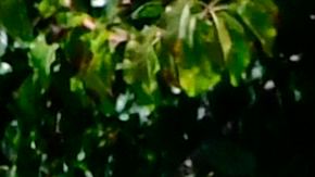 Estudiante universitaria en California.