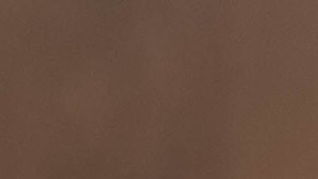 Salvador Cienfuegos.