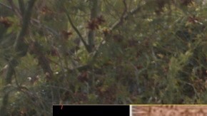 Madre y padrastro de niña de 3 años denuncian robo de la menor; luego confiesan qué le hicieron