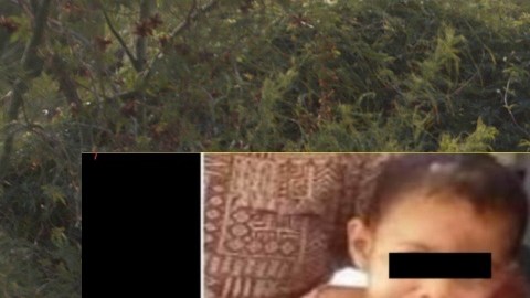 Madre y padrastro de niña de 3 años denuncian robo de la menor; luego confiesan qué le hicieron