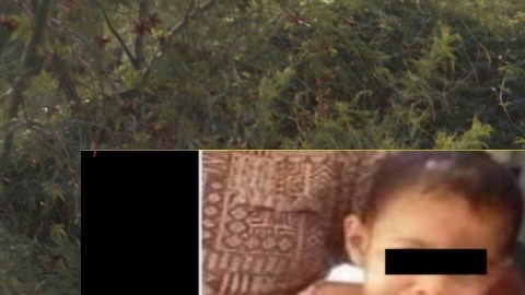 Madre y padrastro de niña de 3 años denuncian robo de la menor; luego confiesan qué le hicieron