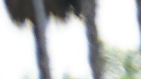 En San Ysidro y en Tijuana hubo protestas.