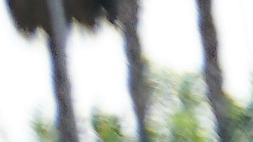 En San Ysidro y en Tijuana hubo protestas.