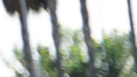 En San Ysidro y en Tijuana hubo protestas.