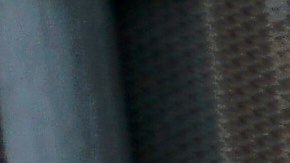 Activistas protestan y piden alto al abuso.