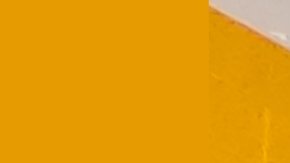 El perrito aprendió a tomarse selfies.