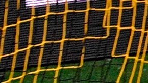 Erling-Haaland-Champions