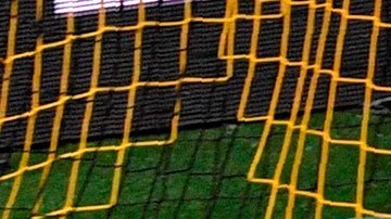 Erling-Haaland-Champions