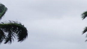 El huracán tocó tierra en Puerto Morelos, Quinta Roo.