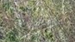 FOTOS: Así es el cementerio de víctimas de guerra entre el CJNG y huachicoleros