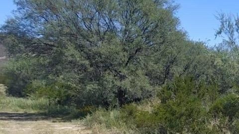 FOTOS: Torturan y matan a 6, los dejan tirados envueltos en cobijas