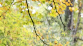 Ford-Bronco-Overland-Concept-091020-04