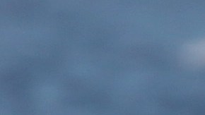 El surf en Estados Unidos se volvió más popular durante la pandemia de coronavirus