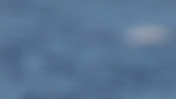 El surf en Estados Unidos se volvió más popular durante la pandemia de coronavirus