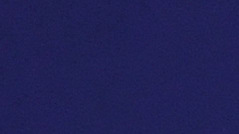 María Elena Salinas.