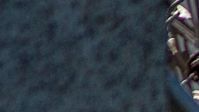 Las operaciones habrían ocurrido en centros de detención.