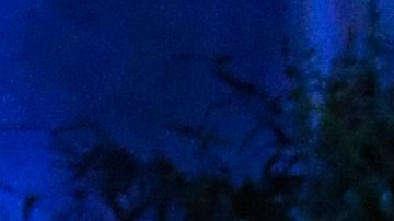 Los parques temáticos de California seguirán bajo la incertidumbre.