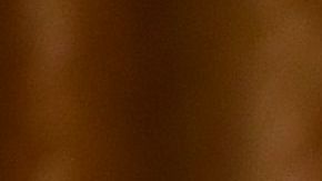 El presidente Donald Trump recibió una tarjeta de débito con su nombre.