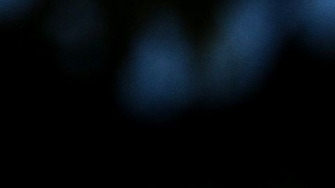 El Przewalski es la tercera especie que logran clonar con éxito los expertos del San Diego Zoo Global.