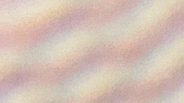 Los detenidos declararon estar empleados en una empresa que no existe.