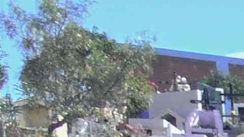 Brasil, Chile, Colombia, Ecuador y Perú son los países de la región con más muertes.