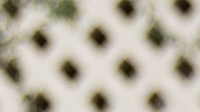 Las encuestas pronostican una ventaja de Biden en Arizona.