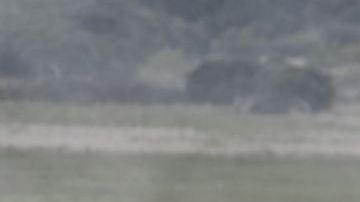 El accidente ocurrió en el Rally de Vidreiro, en Portugal.