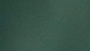 Neymar y Richarlison en un partido de Brasil.