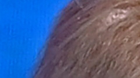 Joe Biden y Donald Trump se enfrentan en las elecciones presidenciales del 3 de noviembre.