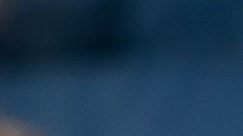 15,000 ositos de peluche invadieron las tribunas del Heerenveen.