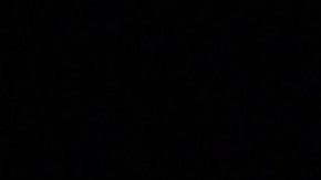 Seguidores de Nostradamus relacionan a Donald Trump con sus predicciones.