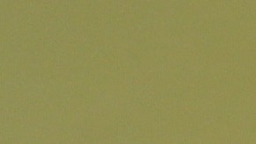 Serán elegibles quienes estén casados con un ciudadano o tengan hijo ciudadano mayor de 21 años.