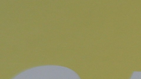 Serán elegibles quienes estén casados con un ciudadano o tengan hijo ciudadano mayor de 21 años.